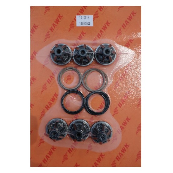 KIT COMPLETO VALVULAS HFR F 1 x 6 PZS KIT COMPLETO VALVULAS HFR F 1 x 6 PZS